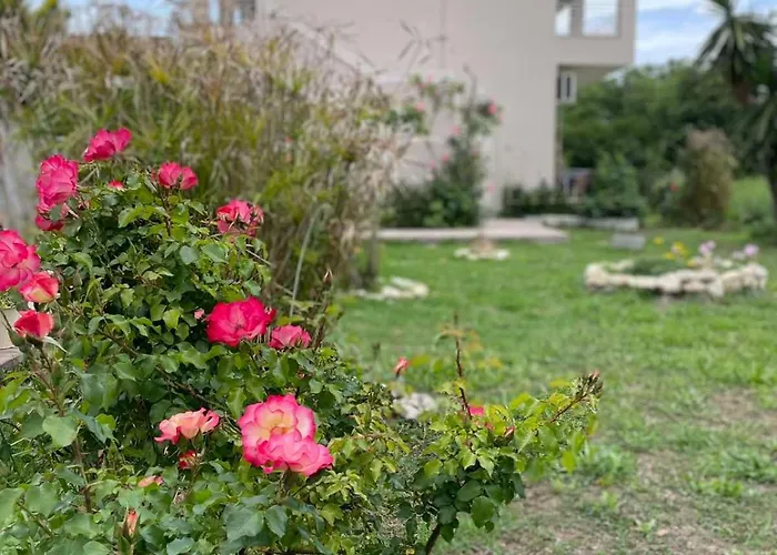 Aspasia *